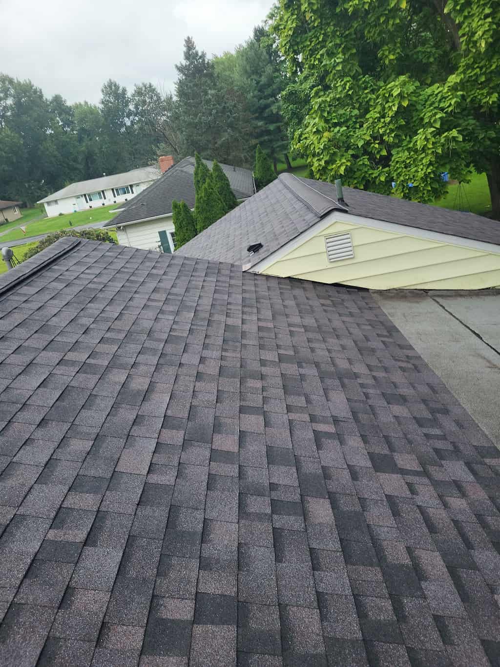 A shingled roof with meticulous work done on it.